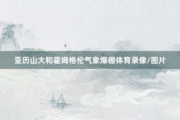 亚历山大和霍姆格伦气象爆棚体育录像/图片