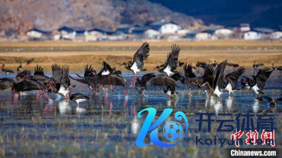 推动“生态+文旅”发展情势体育集锦