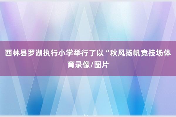 西林县罗湖执行小学举行了以“秋风扬帆竞技场体育录像/图片